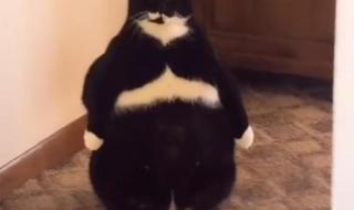 我是小宝贝 我是小宝贝